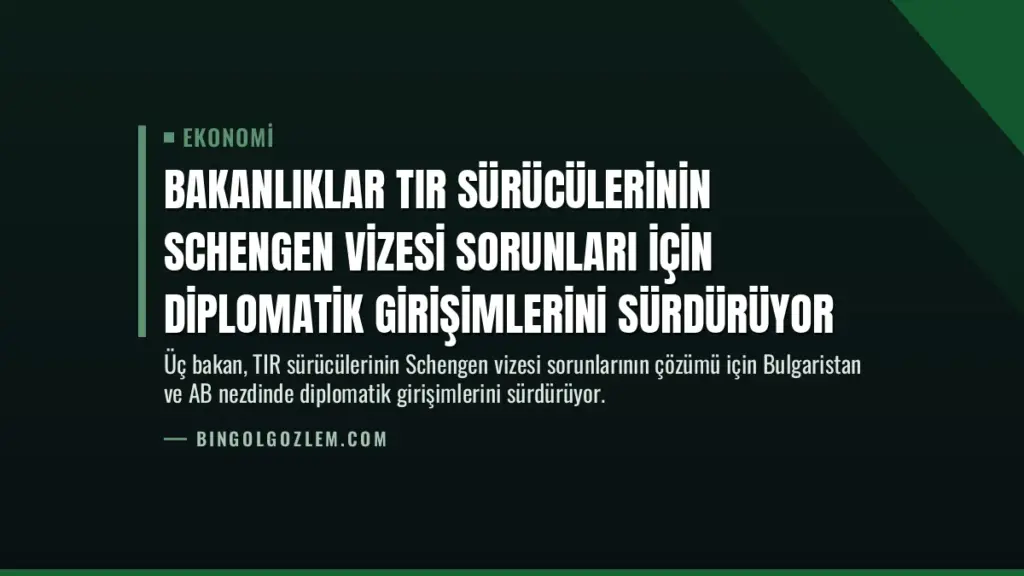 Bakanlıklar TIR Sürücülerinin Schengen Vizesi Sorunları İçin Diplomatik Girişimlerini Sürdürüyor
