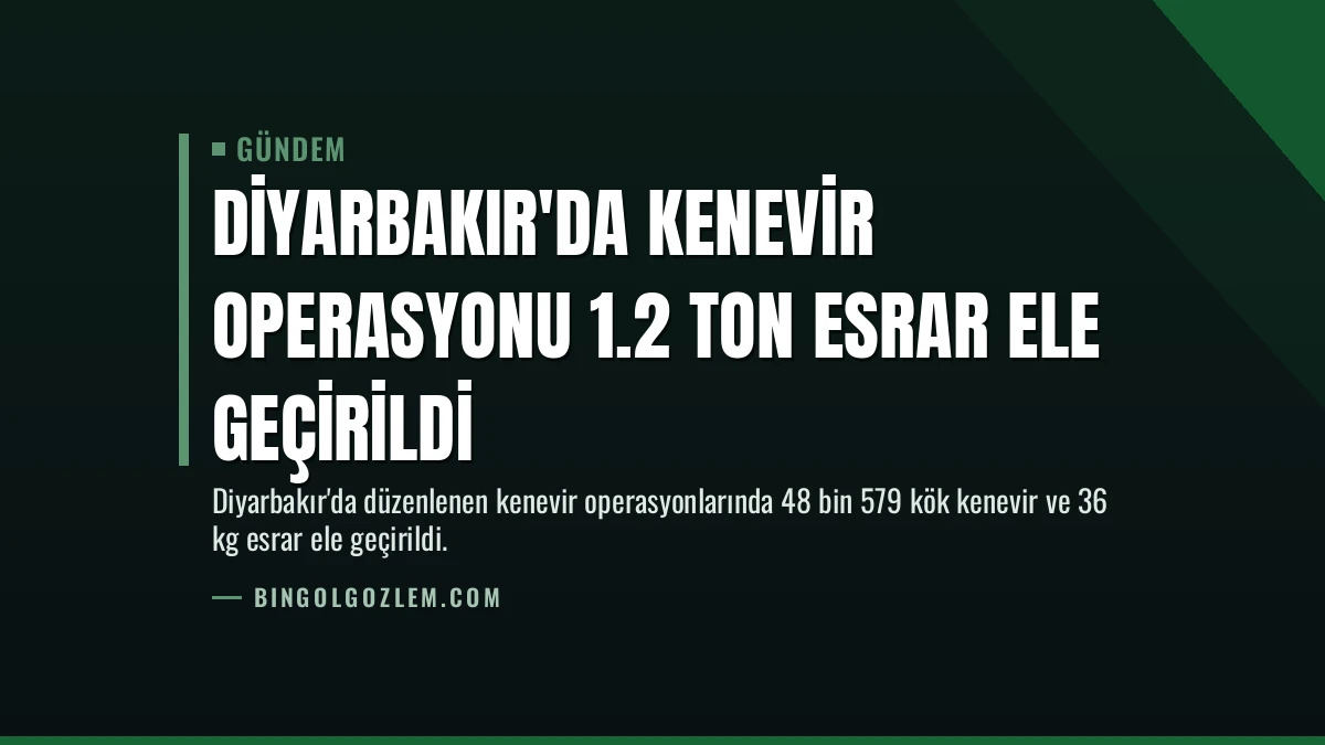 Diyarbakır’da Kenevir Operasyonu 1.2 Ton Esrar Ele Geçirildi