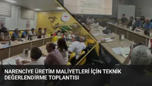 Narenciye Üretim Maliyetleri İçin Teknik Değerlendirme Toplantısı