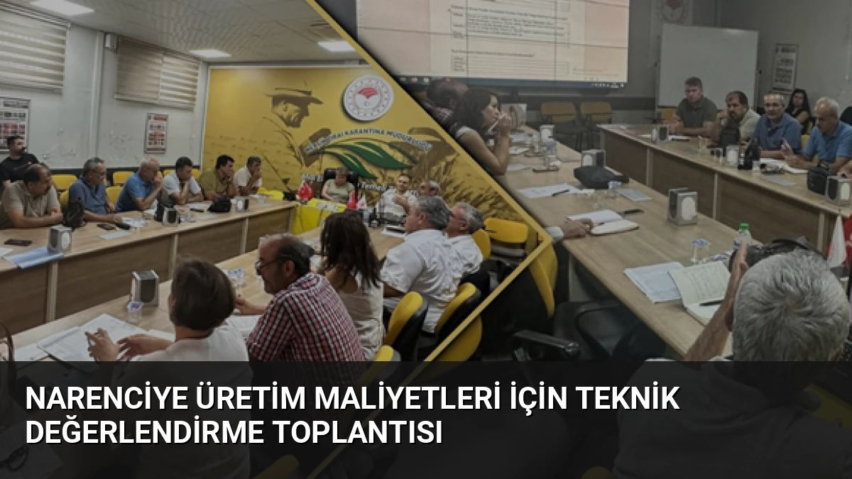 Narenciye Üretim Maliyetleri İçin Teknik Değerlendirme Toplantısı