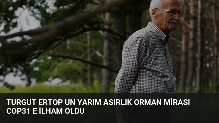 Turgut Ertop un Yarım Asırlık Orman Mirası COP31 e İlham Oldu