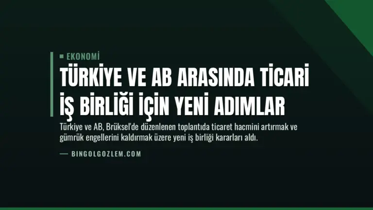 Türkiye ve AB Arasında Ticari İş Birliği İçin Yeni Adımlar