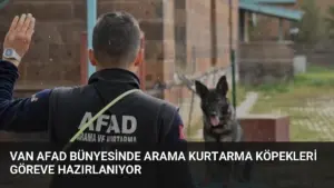 Van AFAD bünyesinde arama kurtarma köpekleri göreve hazırlanıyor