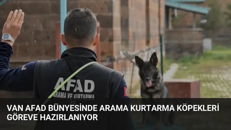 Van AFAD bünyesinde arama kurtarma köpekleri göreve hazırlanıyor